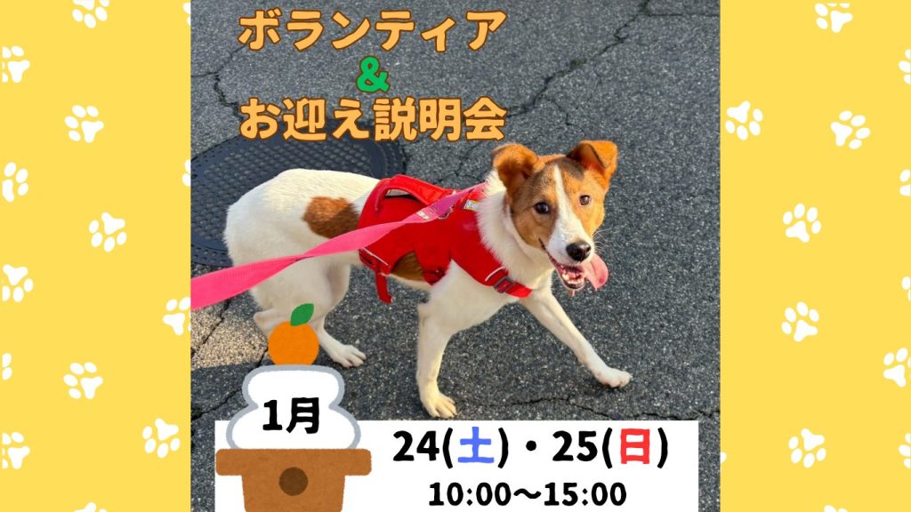 4944bbef9b4b2293413ecf659ee6c0fe 1