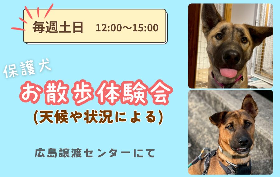 【ピースワンコのイベント】1/31(土)、2/1(日)「お散歩体験会」を開催(広島譲渡センター) 2 eyecatch 18