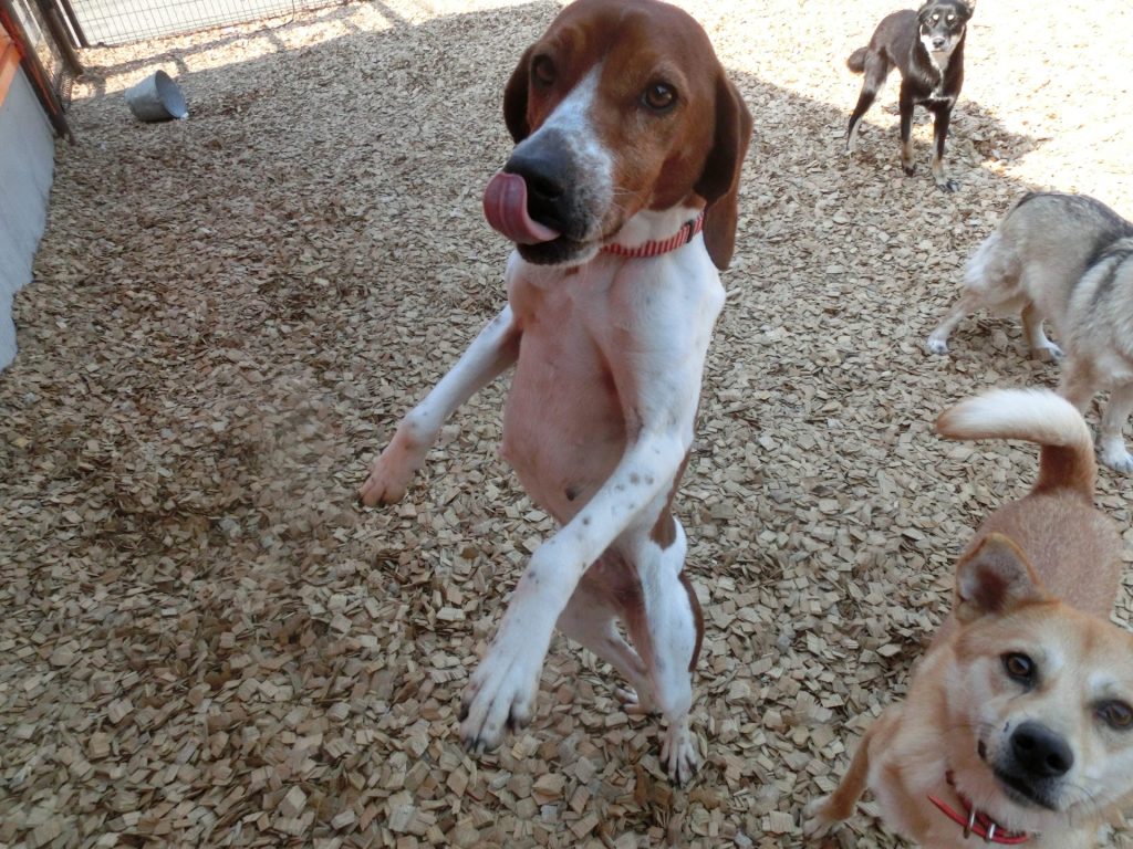 2f3a6ccfce1ff3ff8d5419676758aa7d