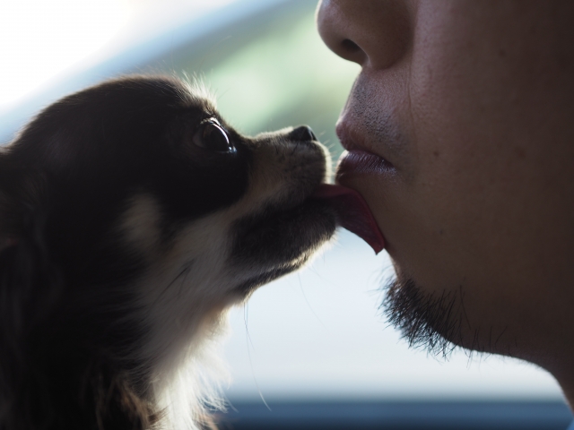 2fae5258aedf9e62092ed658c4d32dba