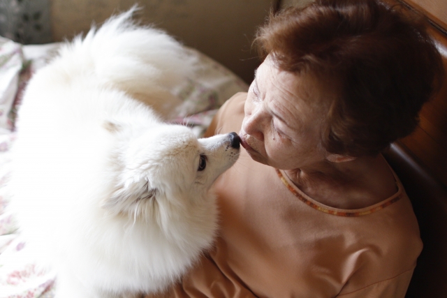 4956e4a9f4b57aa89ab98400c7275820