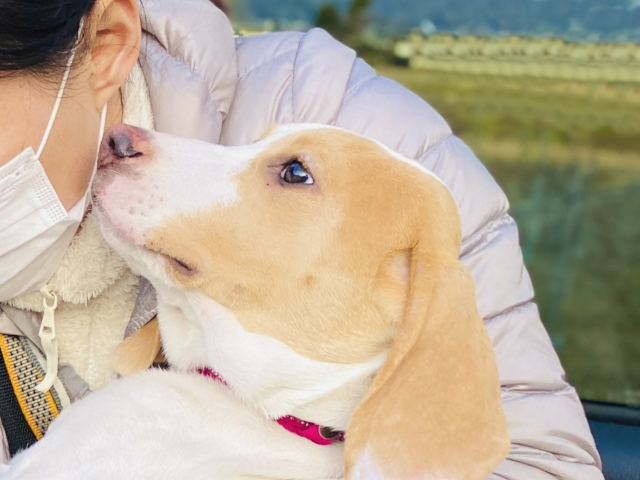 84198a635c012fea73ef352e4bbeeaec