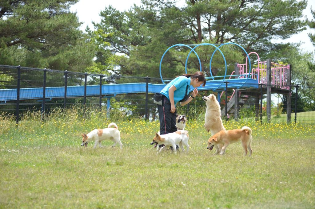 cf7ebce75774ffa18bfd3de731c3dd51