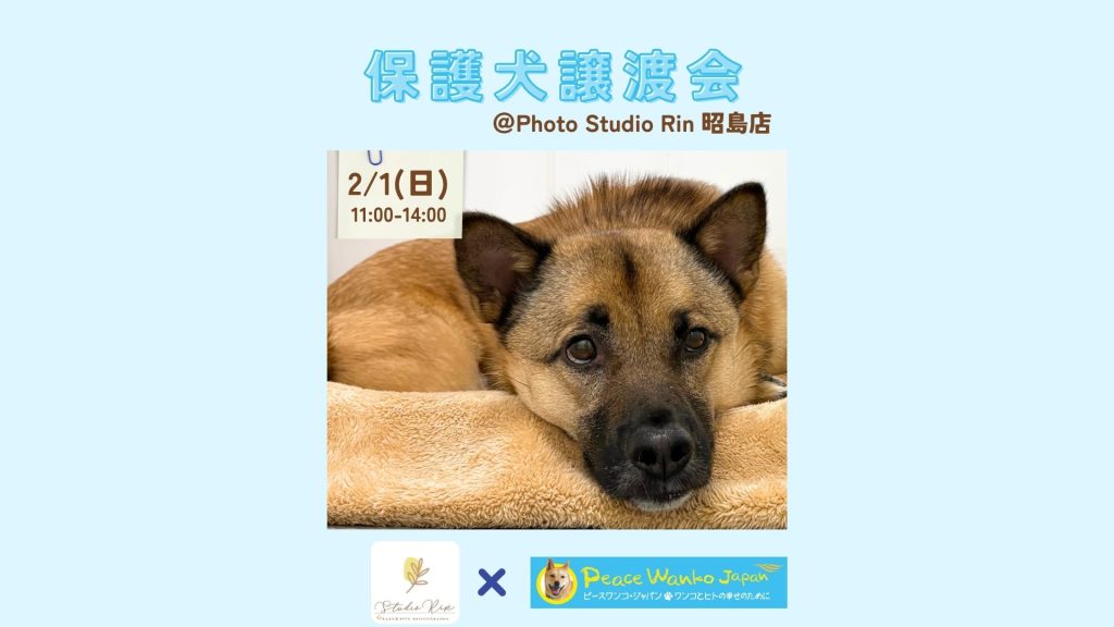 666c7be94b7750f817ea7ac9723ee1aa