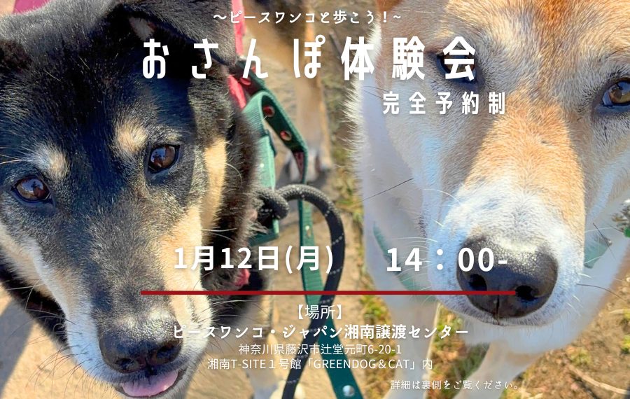 95455935ba3090c0145043a46a444347 1