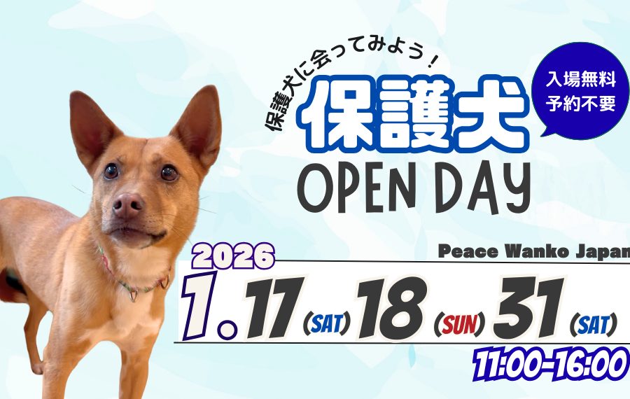 702f8b5dccd496f100fdc19e0a7c99f1