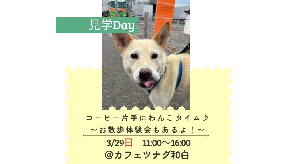 08d731e6ccc9940c9f0a18d7ed69e297