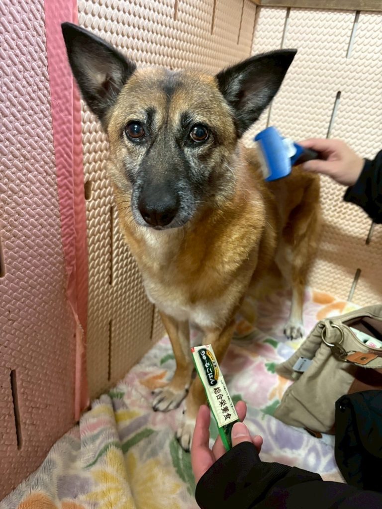 87b5bddf45ffac170ac4c1ac70a0b351