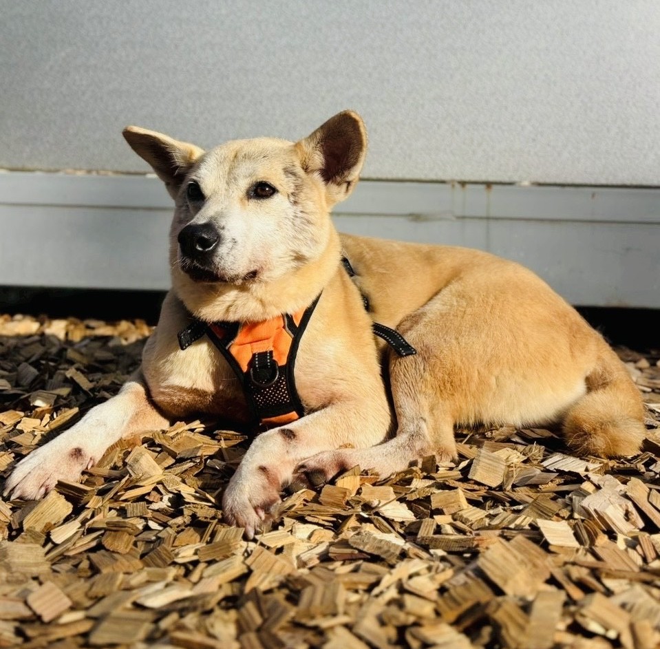 2a461f990fa5a3ec0c0b429dc6d571d1