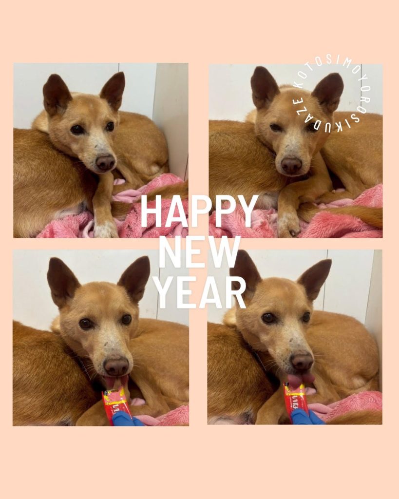 e87f1086f7bf9f59f1ec0b2dd2f320a4