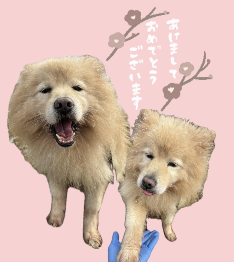 f828ac76cf1fc05c993080059f11d49f