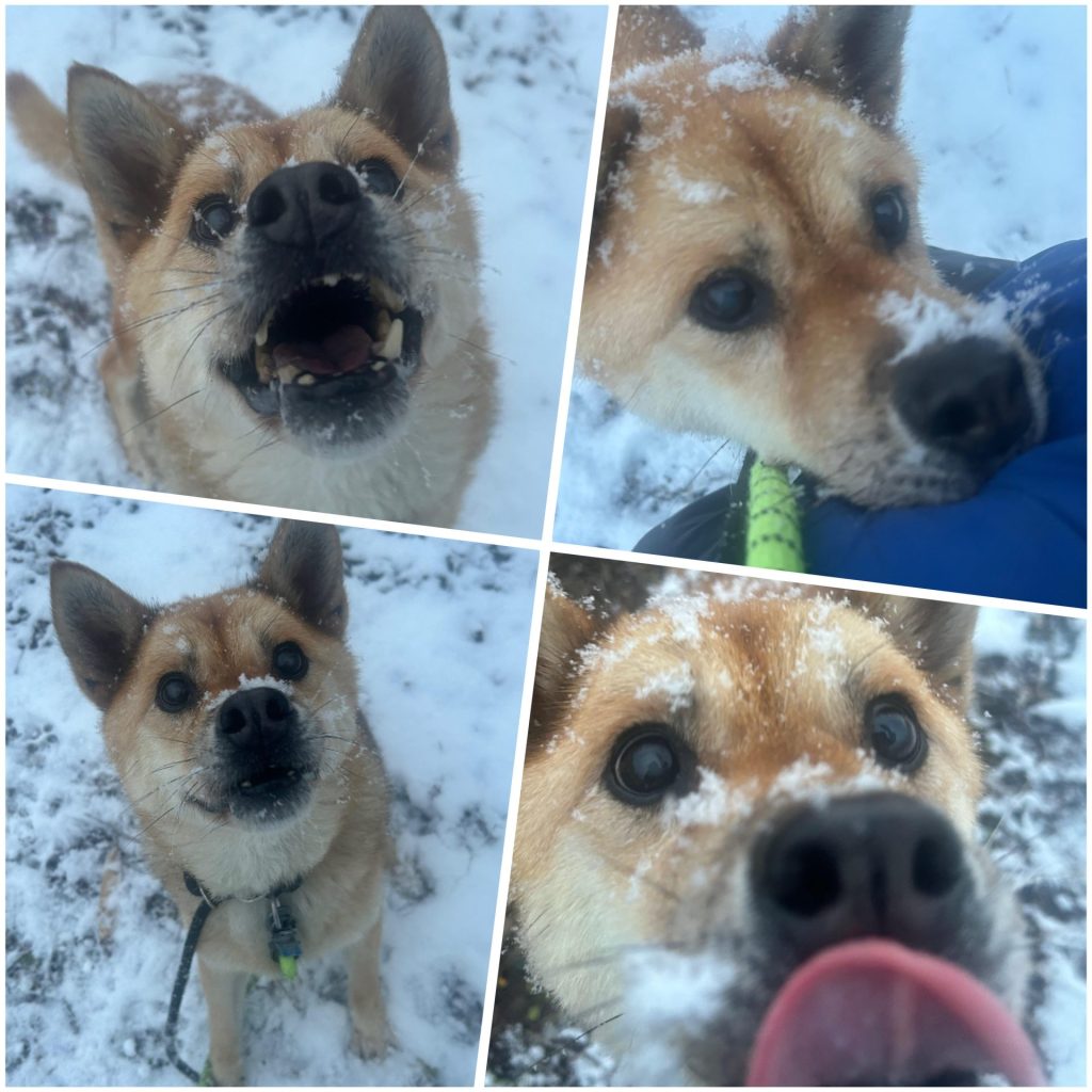 08953ae28ce8de060c1e9d906ce28184