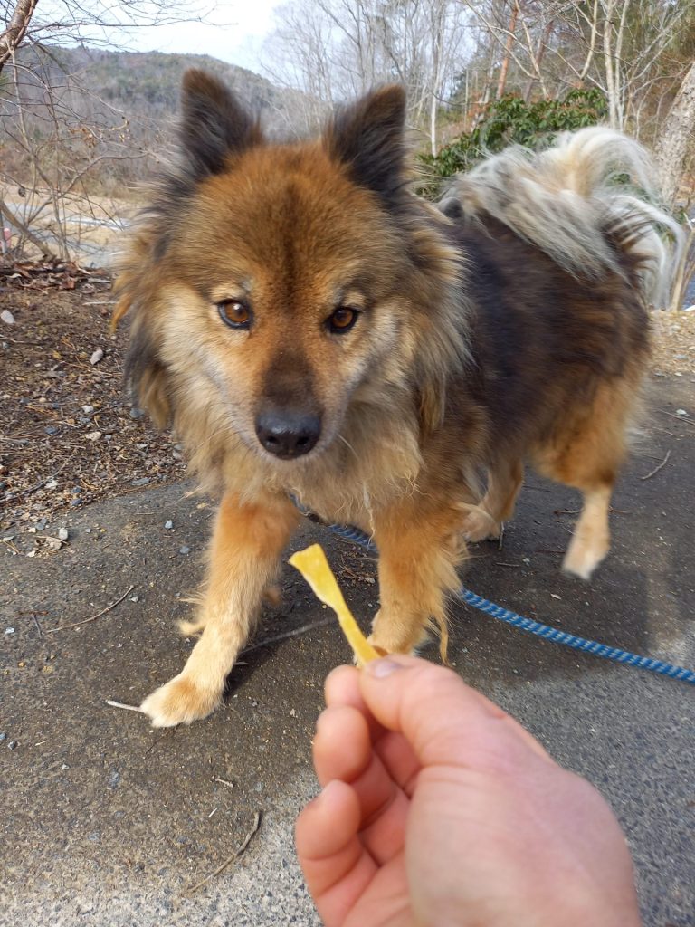 d8cb061c0724c5393fc802e85f8ab252