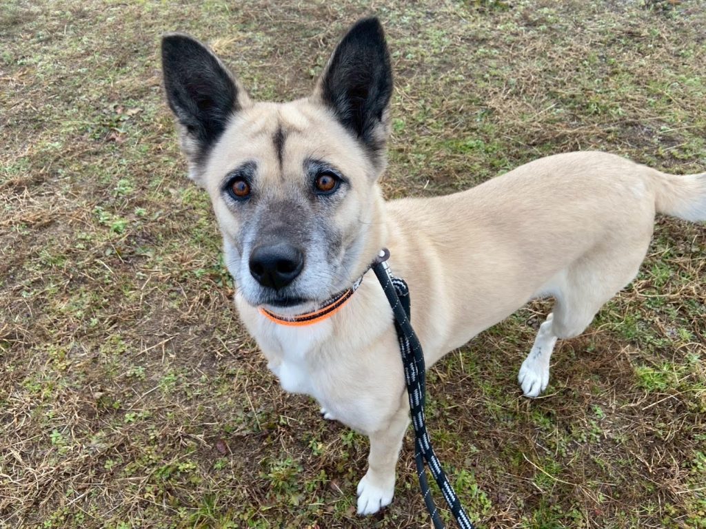 28bba827d71514a2e13aba89c92b189c