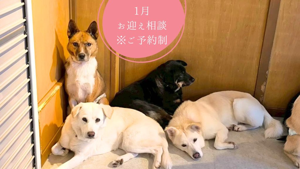 2849f3f80fbd440f7dcc51b3131926f0 1