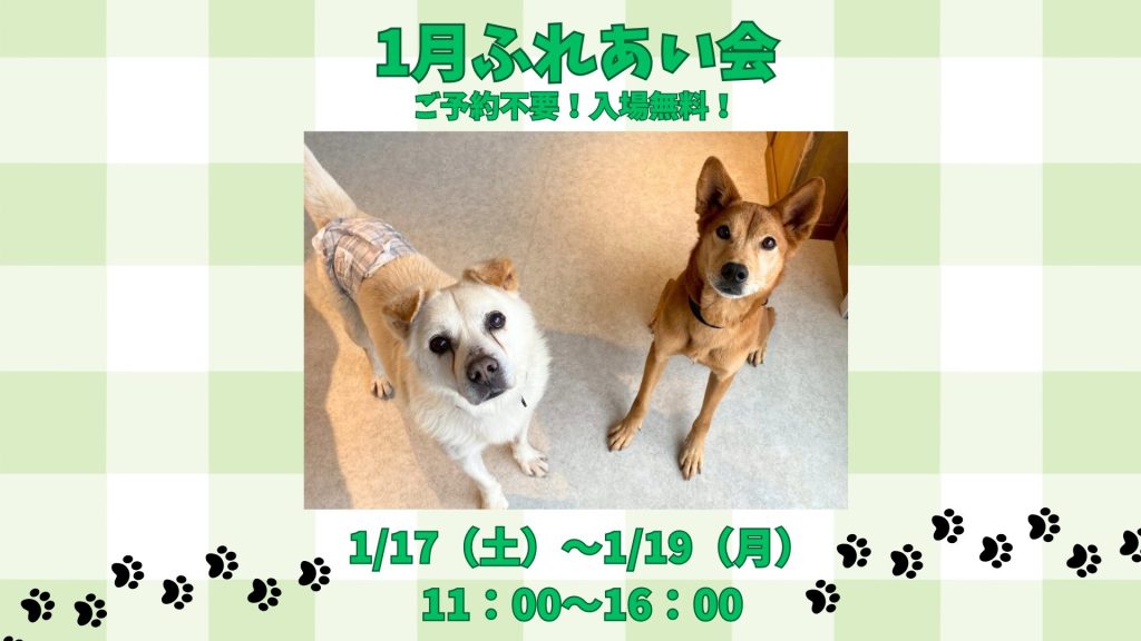 6baec5ba9adaa786dee2345df9115299