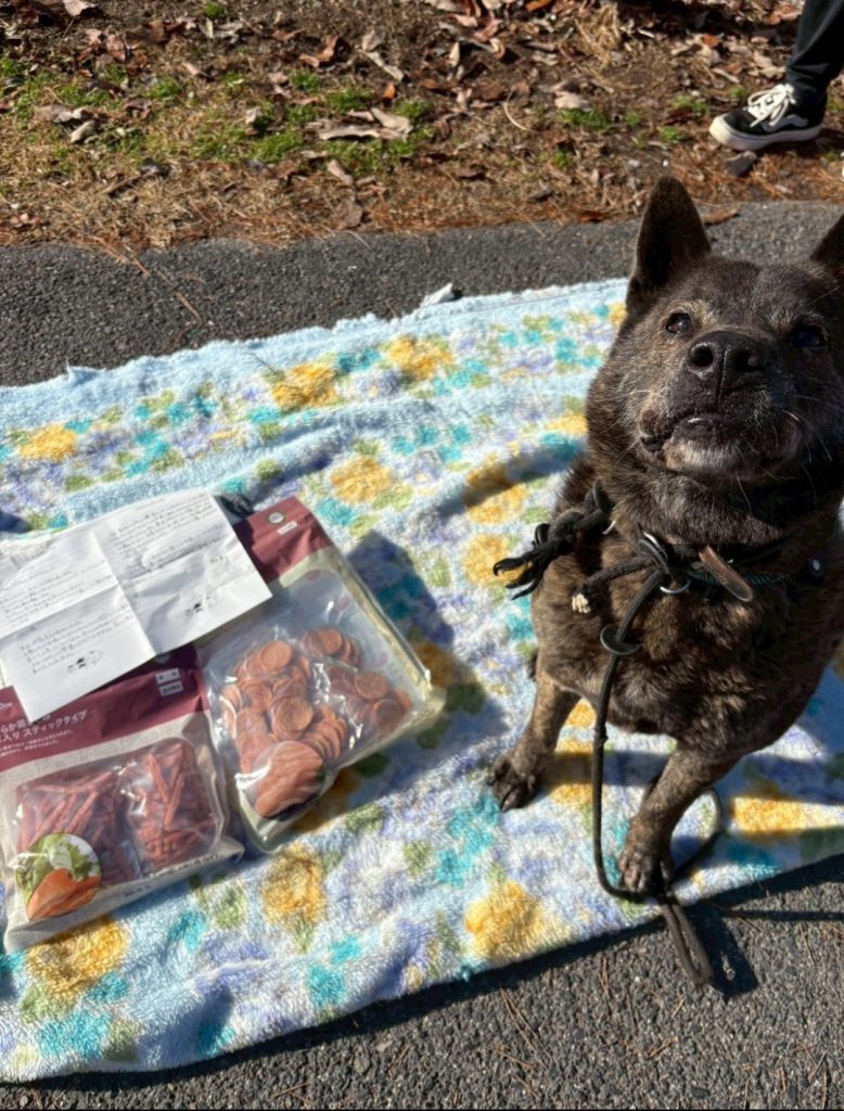 444f6095ccc7cc735b22e8c08fe56232