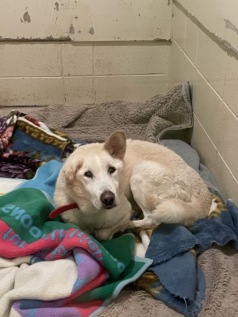 056291b23d8af40c6b00be34c322dfa2