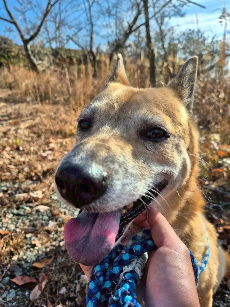 e8112e5b8c840f0db87c07533c7f1bc0