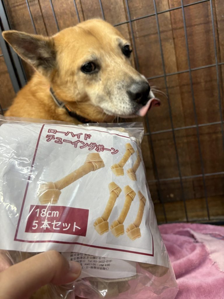 c9dabc6b712b16ffa86d358ce26eb4bc