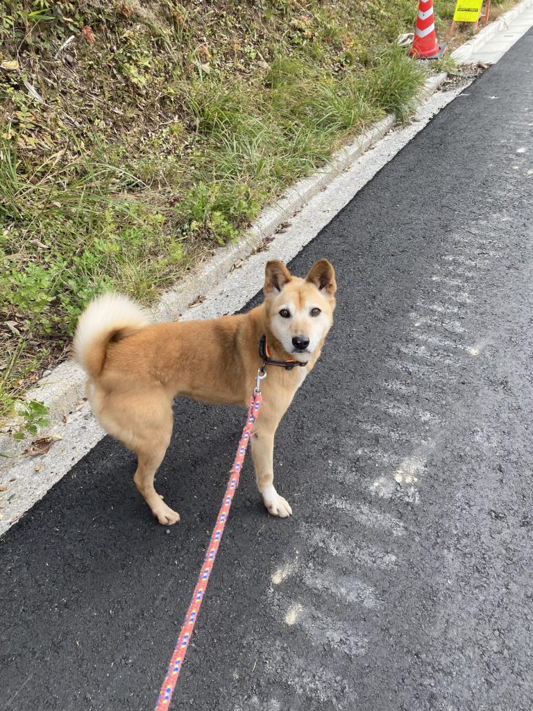 a5982e4eaf38fe8641f9281d2edf520a