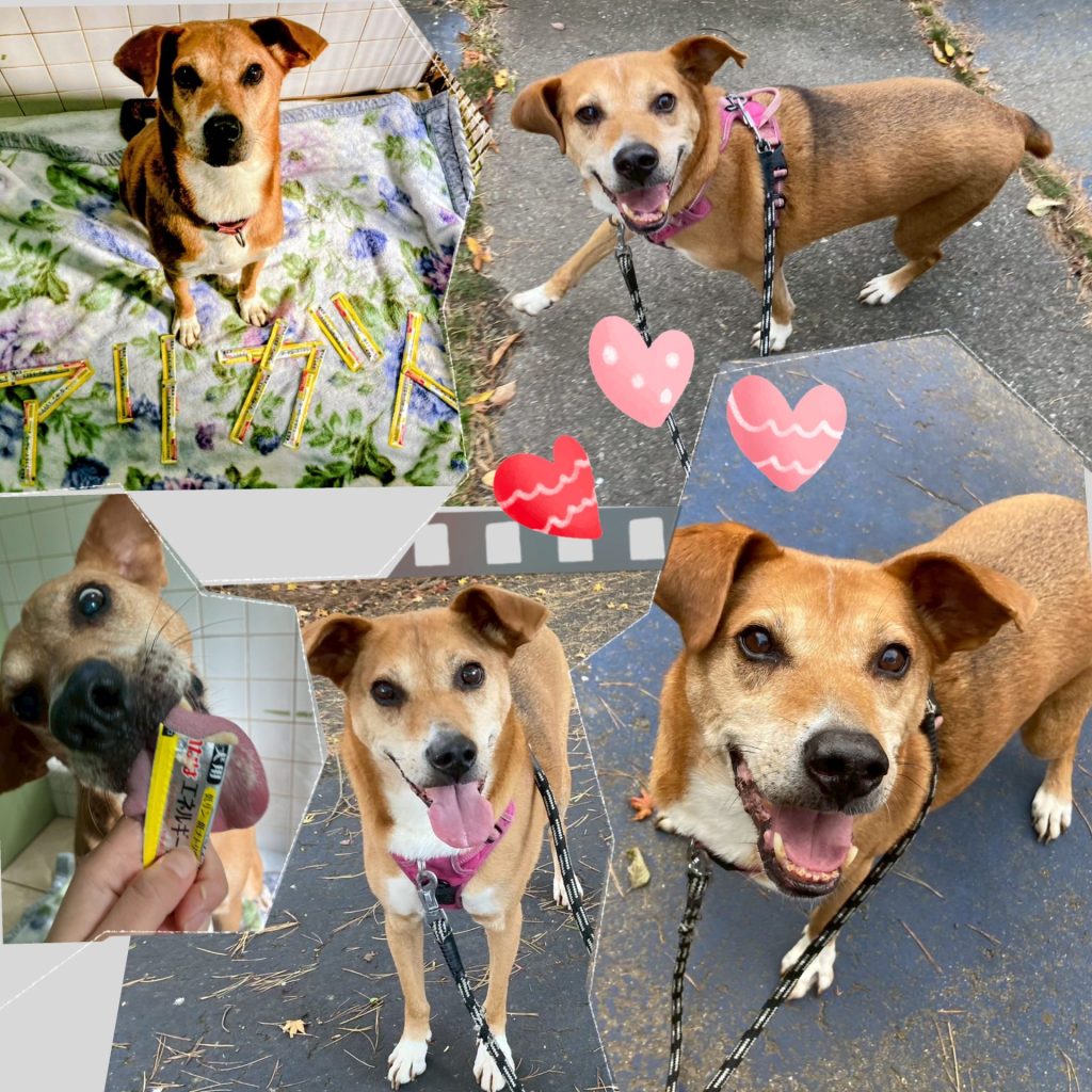 ab717db8443e90d5b8496087f2b89c4b