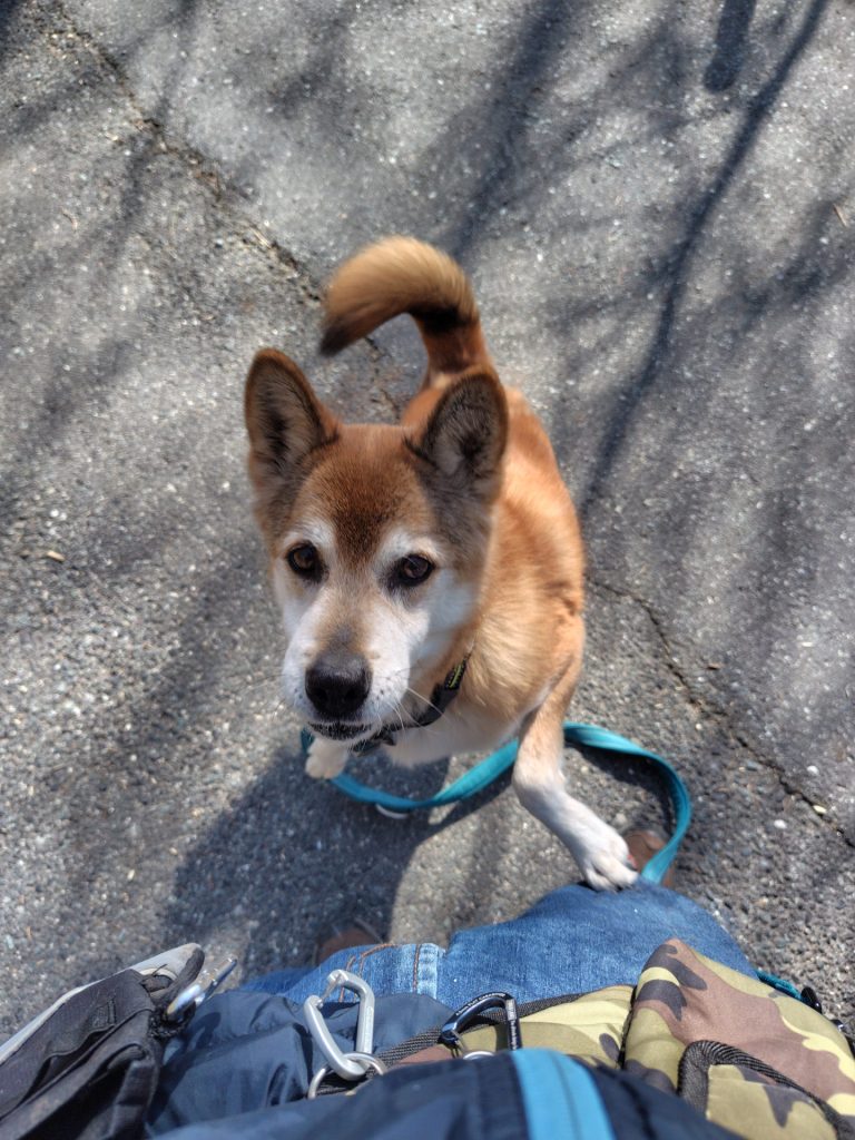 31ce9c307b9c5af19e754d2e9f207f32