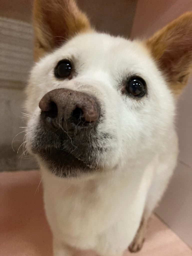 f830151364795ad6a24d1fb15b06f074