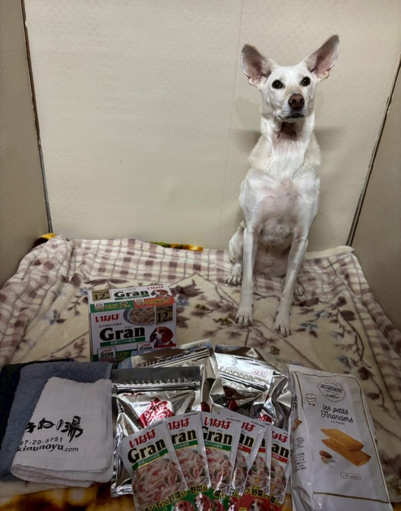 06ead89e9dedeecc61f99a03051fc0e3