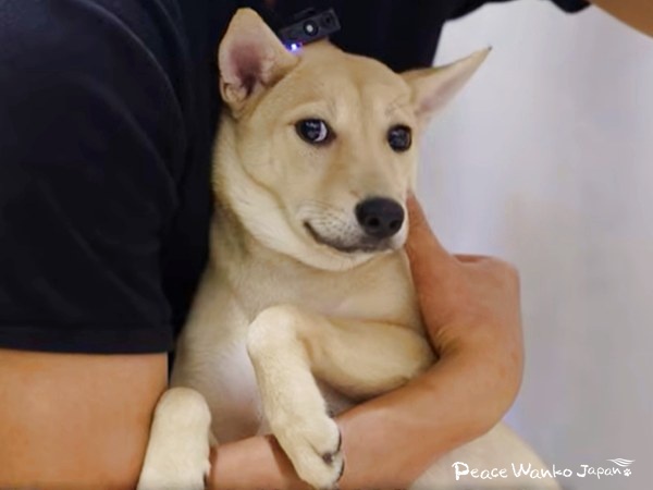 2026年から新しい未来へ 2 20260109 1 1