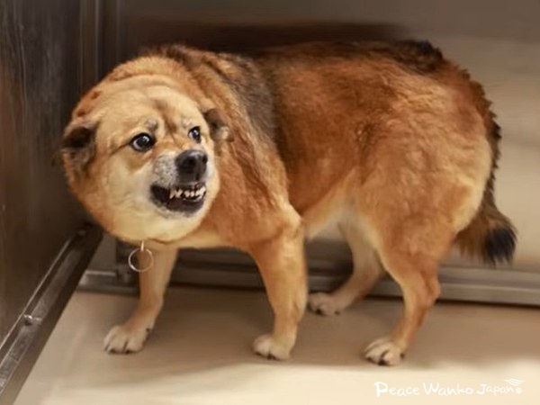 2026年から新しい未来へ 3 20260109 2 2b