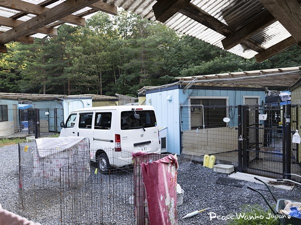 2026年から新しい未来へ 4 20260109 1 3