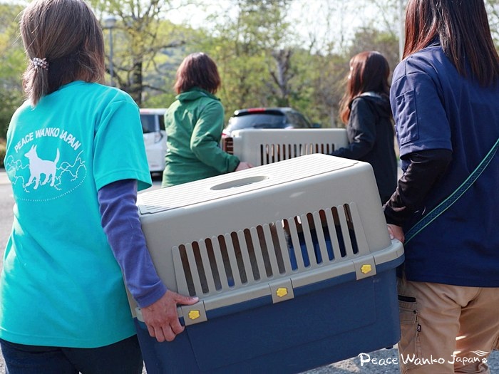 2026年から新しい未来へ 5 Y20260113 4