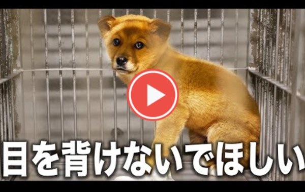 2026年から新しい未来へ 6 756f433182400c574a655a7dec75fb4f