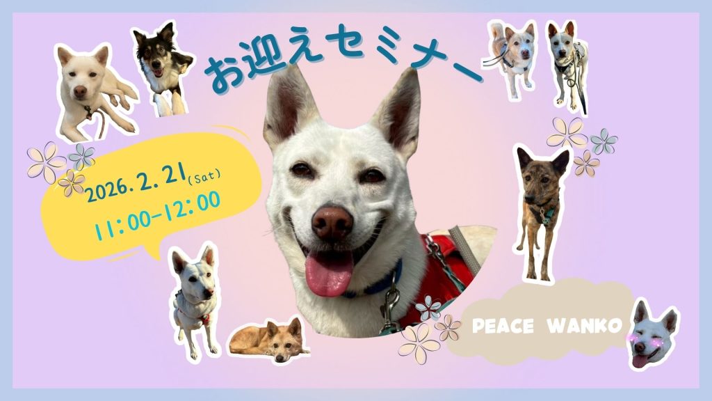 【ピースワンコのイベント】2/21(土)保護犬お迎えセミナー を開催(世田谷譲渡センター) 3 52c3eef75a669b19e9c7691975e2e303