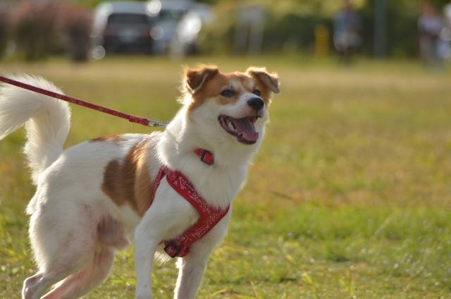 84d090e8426c0f38cdad3b5c971244e1