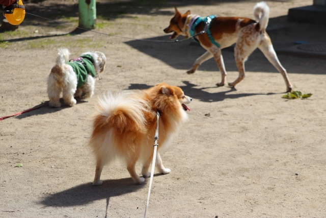 82230bcb9e60ac1bc10ca0ca80c34053