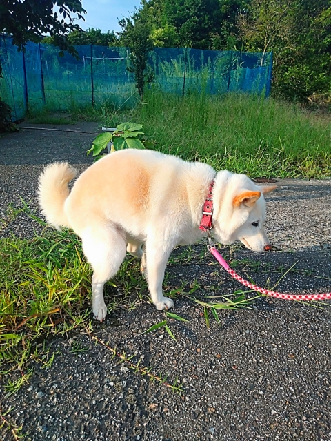 48e1fd36981827fbb4e70cf84d25331a