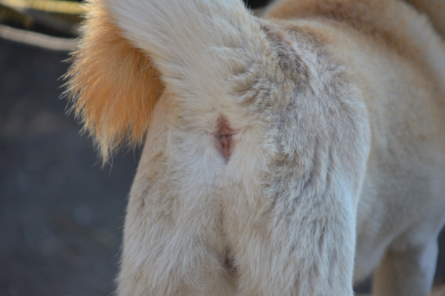 146fd054fde227efd2594af732841d05