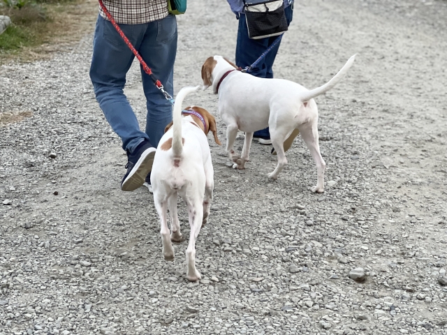 3001d94380b61600805c3f13f5cc7bbc