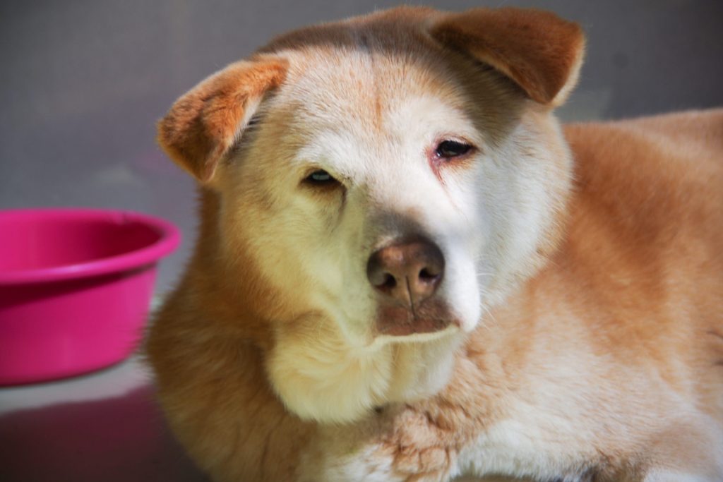 54e2ec9217ee89af83aae52a93601bde