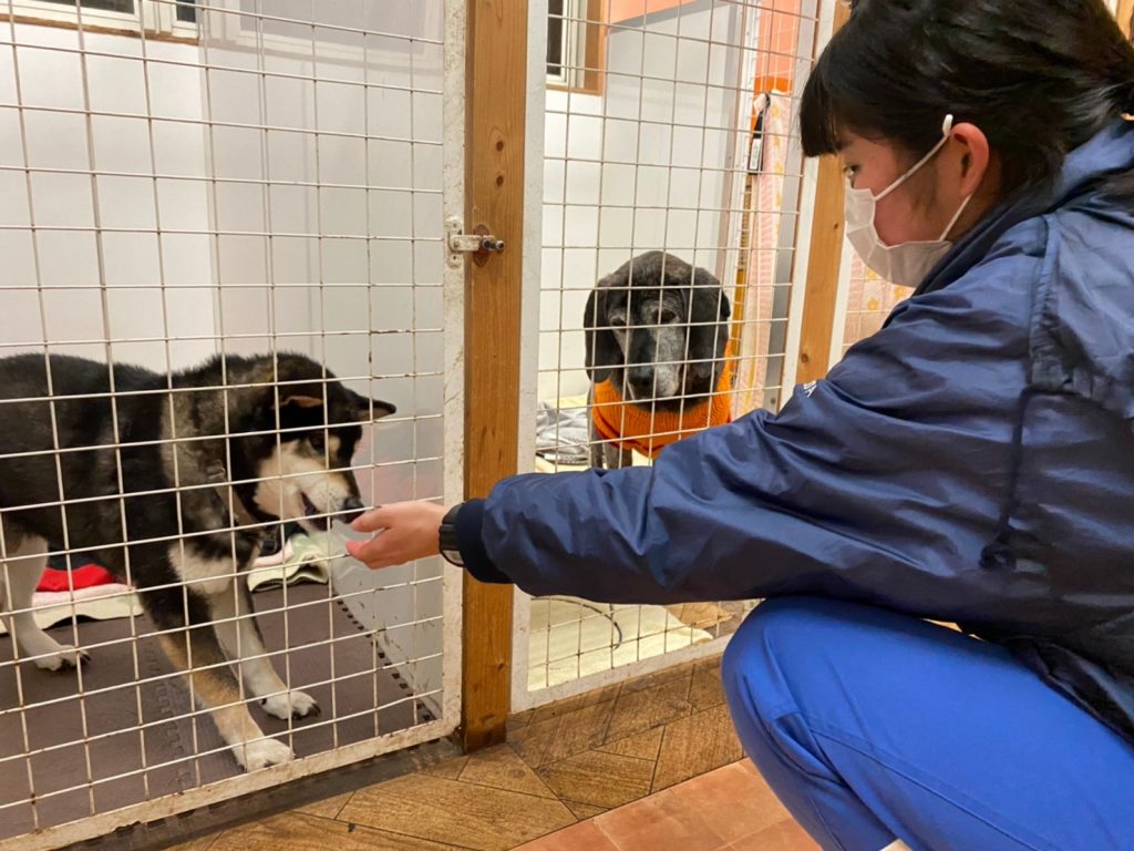 6f6397750e48687f307a5e3d36d452bf