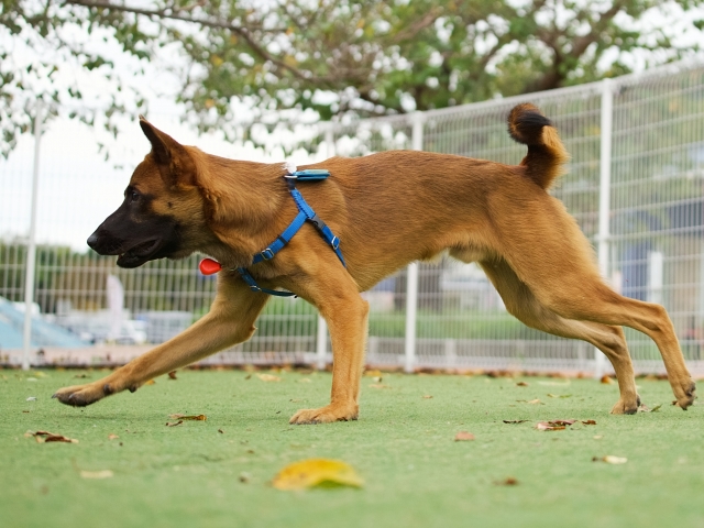 08dd8e1ecfdaa34c1f71dd08684b6ea8 1