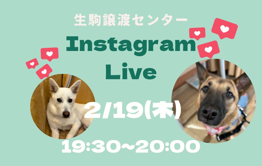 7e13d52af136f26f15fad721768c39d0