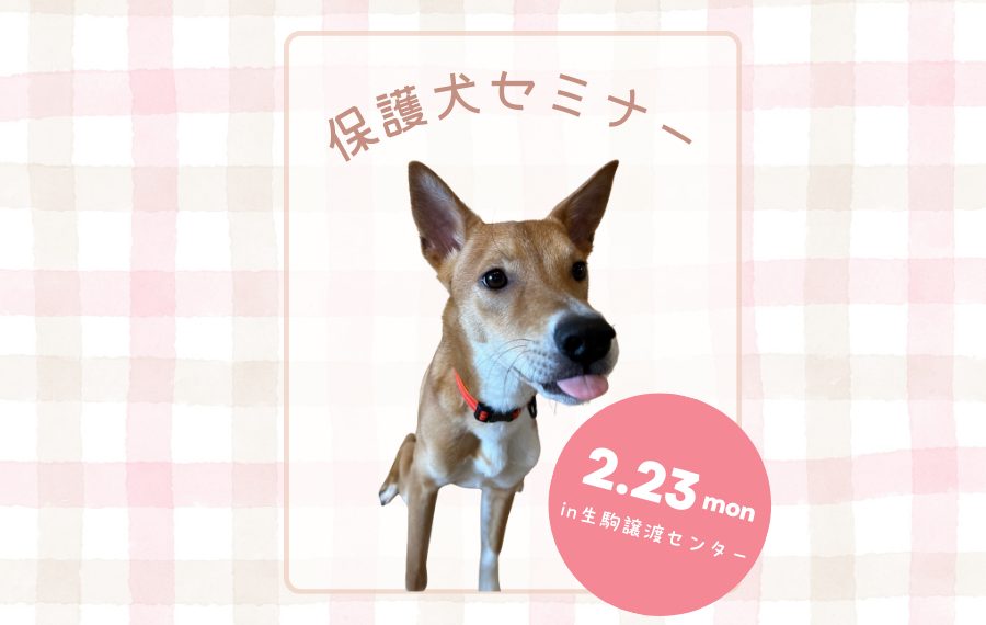 ba3d4f2035f00d7314fd8aba3d527082