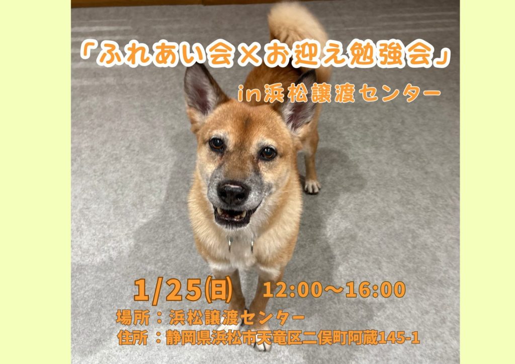 a5893fac0878b8a9d0ff199fe6e008f4