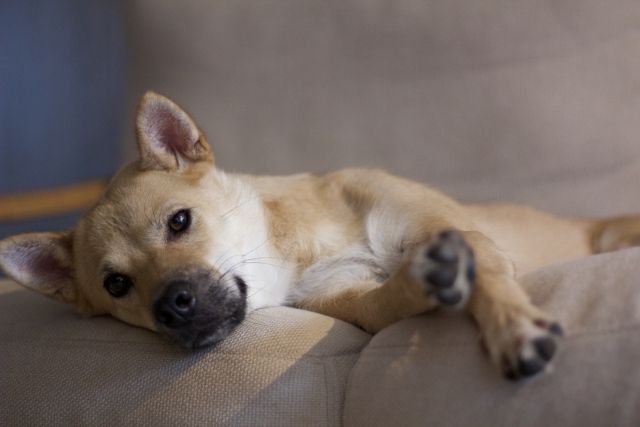 1f3ddea816b37d37f834a0df6ec1a50c