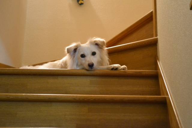 2d3197847a97d258f9834d600076c029