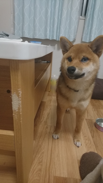 f773db606830a643b0c0f39cdafe0af9