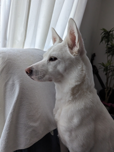 37ea182469674cf636dac04e408cb945